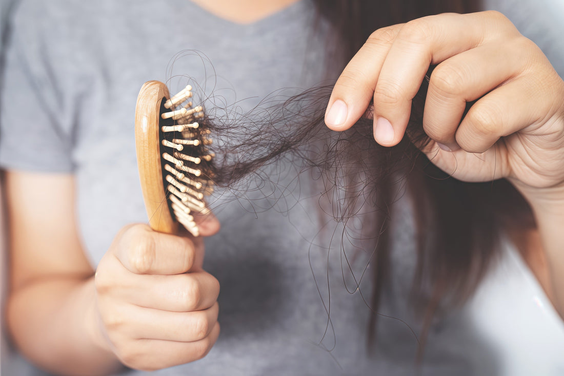 Hair Loss 101